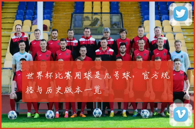 世界杯比赛用球是几号球，官方规格与历史版本一览