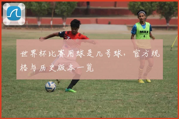 世界杯比赛用球是几号球，官方规格与历史版本一览